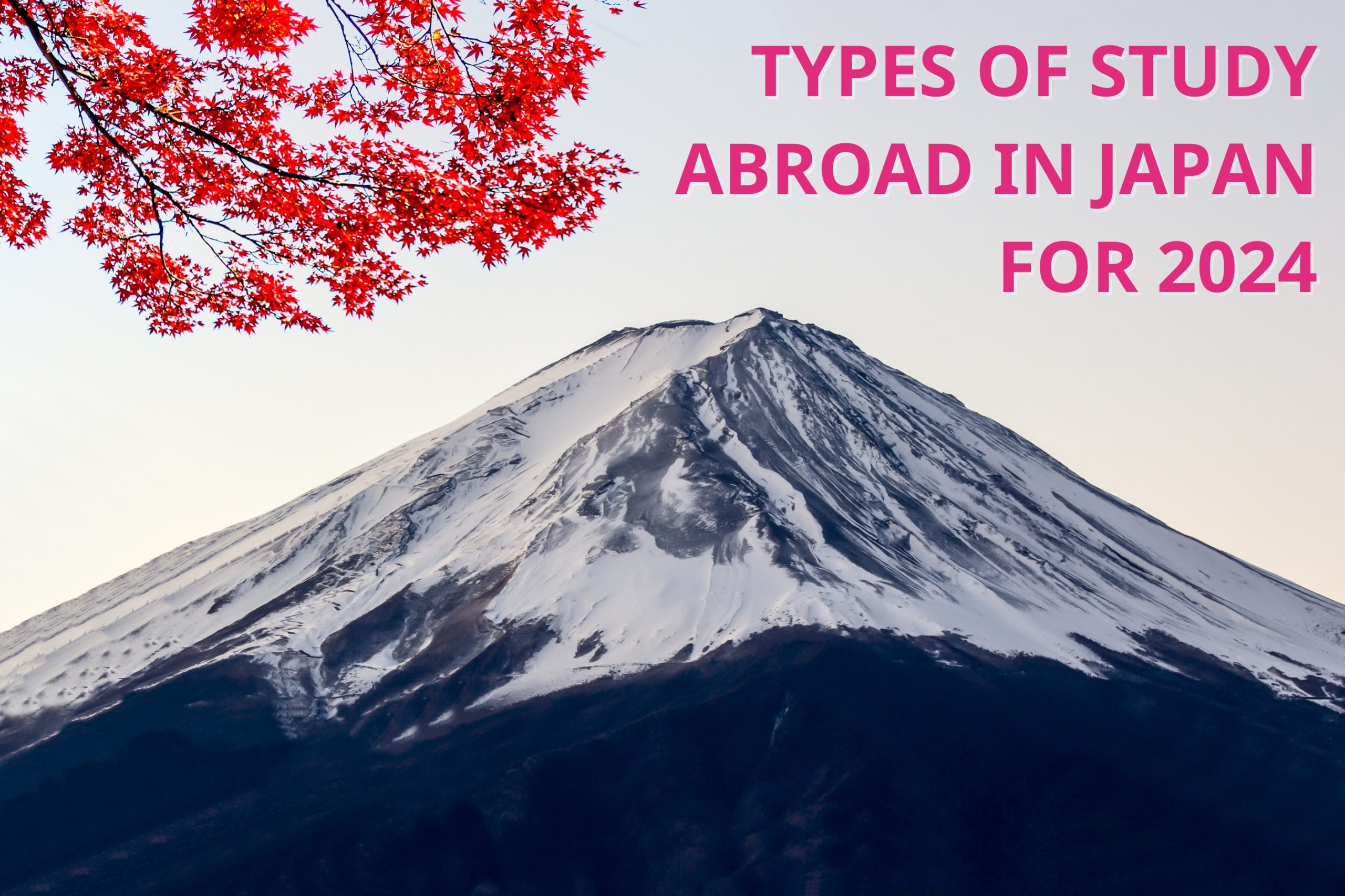 TYPES OF STUDY ABROAD IN JAPAN FOR 2024