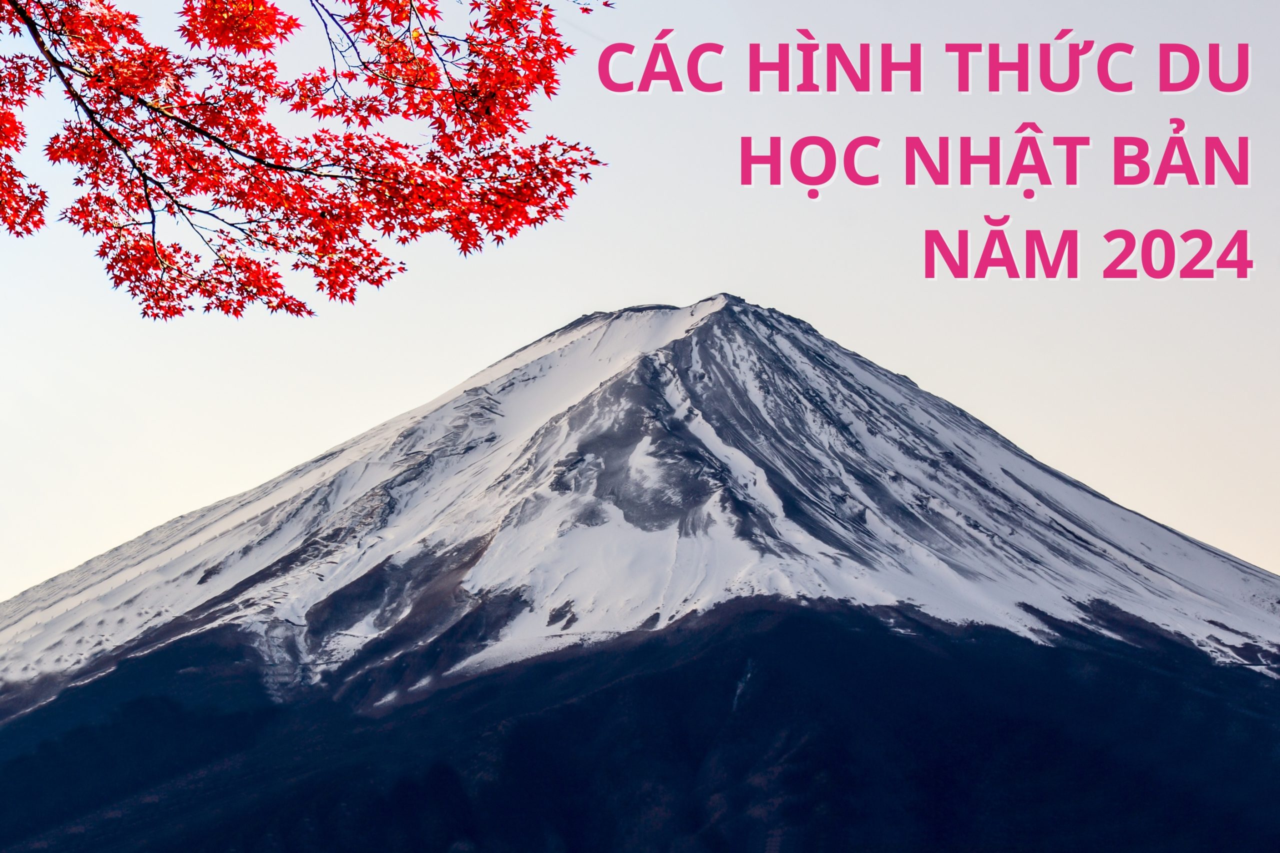 CÁC HÌNH THỨC DU HỌC NHẬT BẢN NĂM 2024