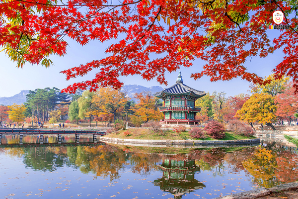 Check-in mùa lá đỏ ở Nami